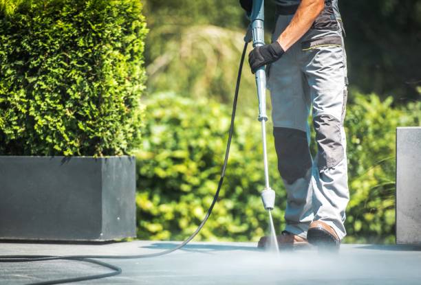 Best Sign and Awning Cleaning  in Oelwein, IA
