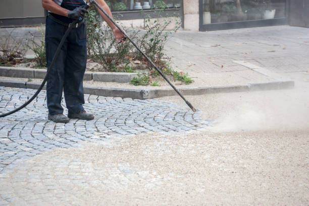 Best Dumpster Area Cleaning  in Oelwein, IA