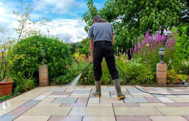 Best Pool Deck Cleaning  in Oelwein, IA