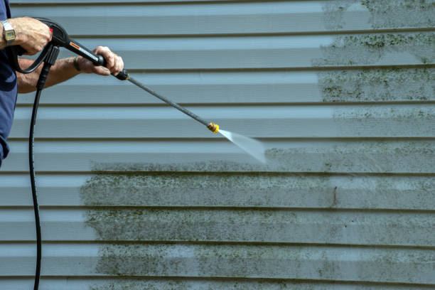 Best Patio and Deck Pressure Washing  in Oelwein, IA