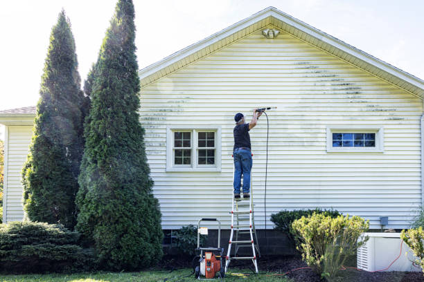 Best Animal Enclosure Cleaning  in Oelwein, IA